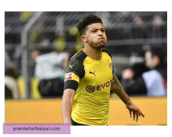 布鲁日未来规划展望：球队竞争力增强与青训体系发展并重